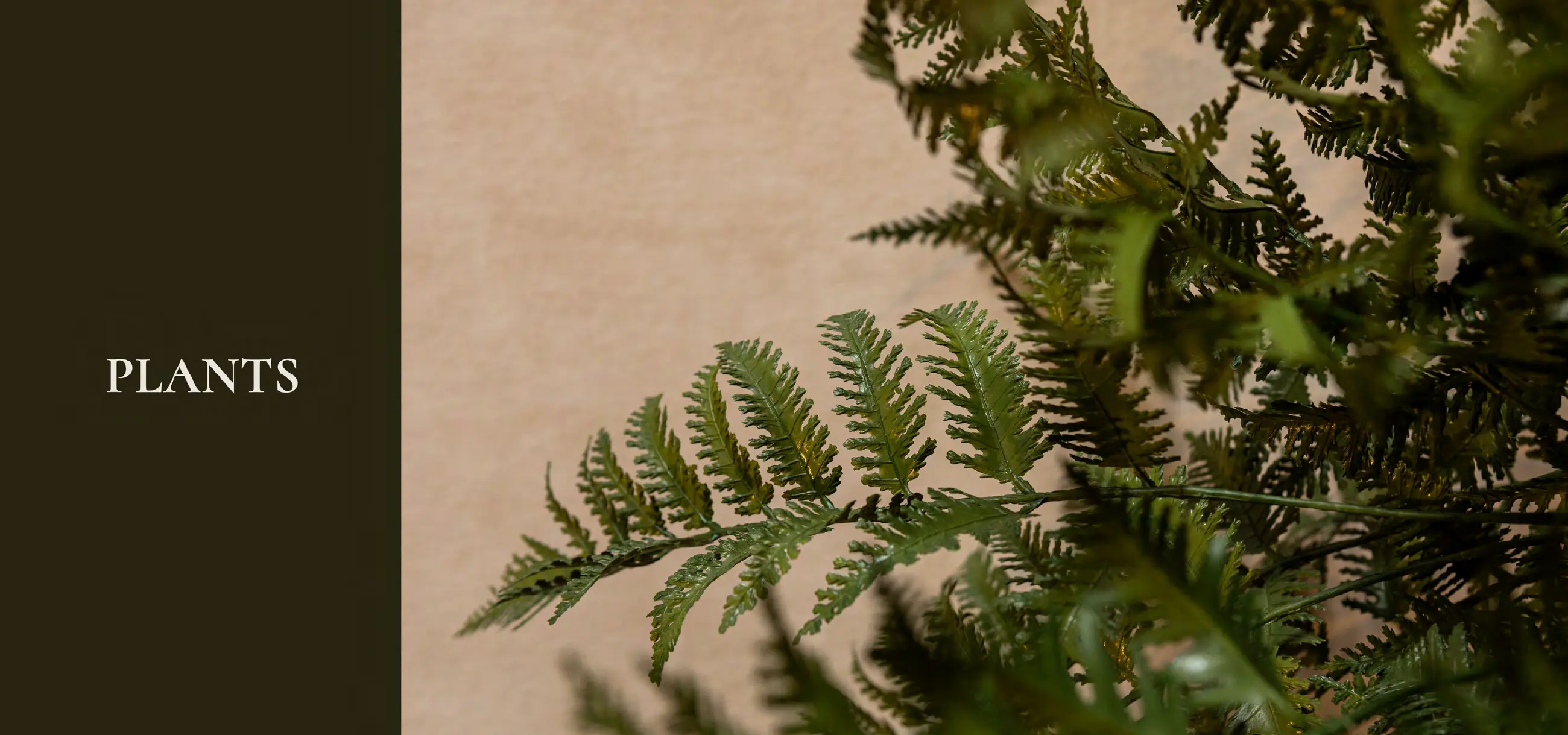 Accessories + Furniture 2026-2, Plants, pagina 314