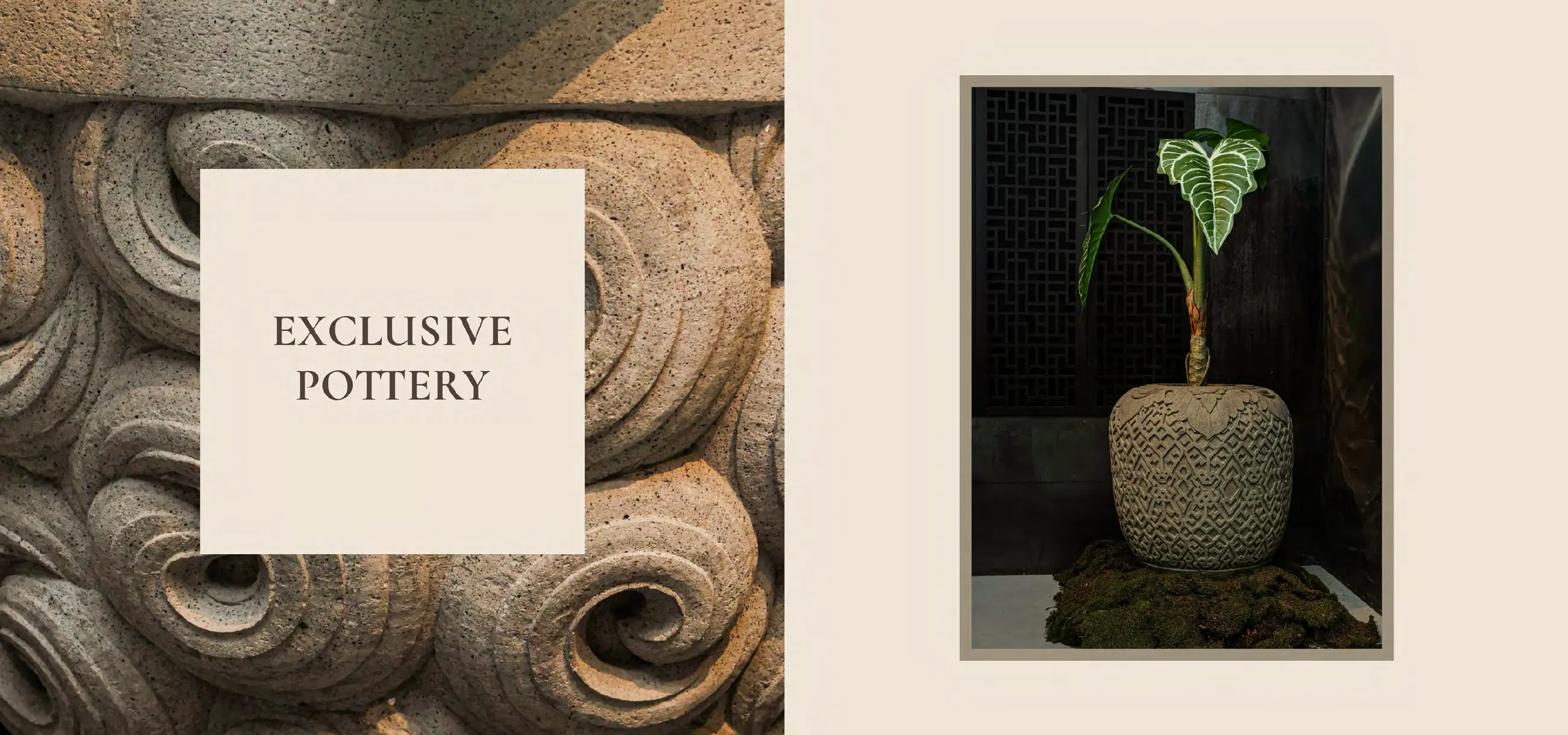 Florists 2026-2, Exclusive Pottery, pagina 86