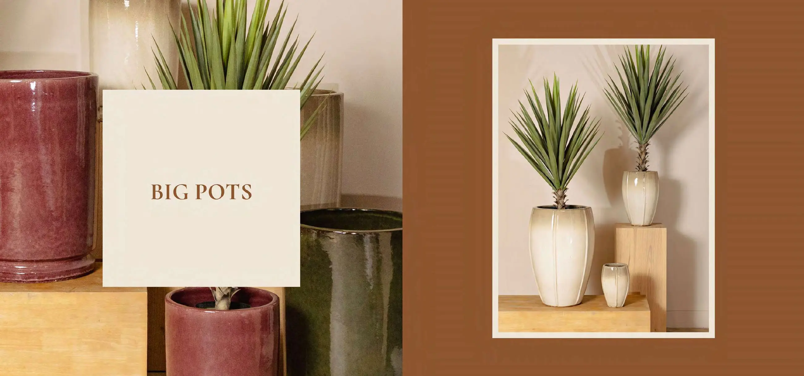Florists 2026-2, Exclusive Pottery, pagina 90